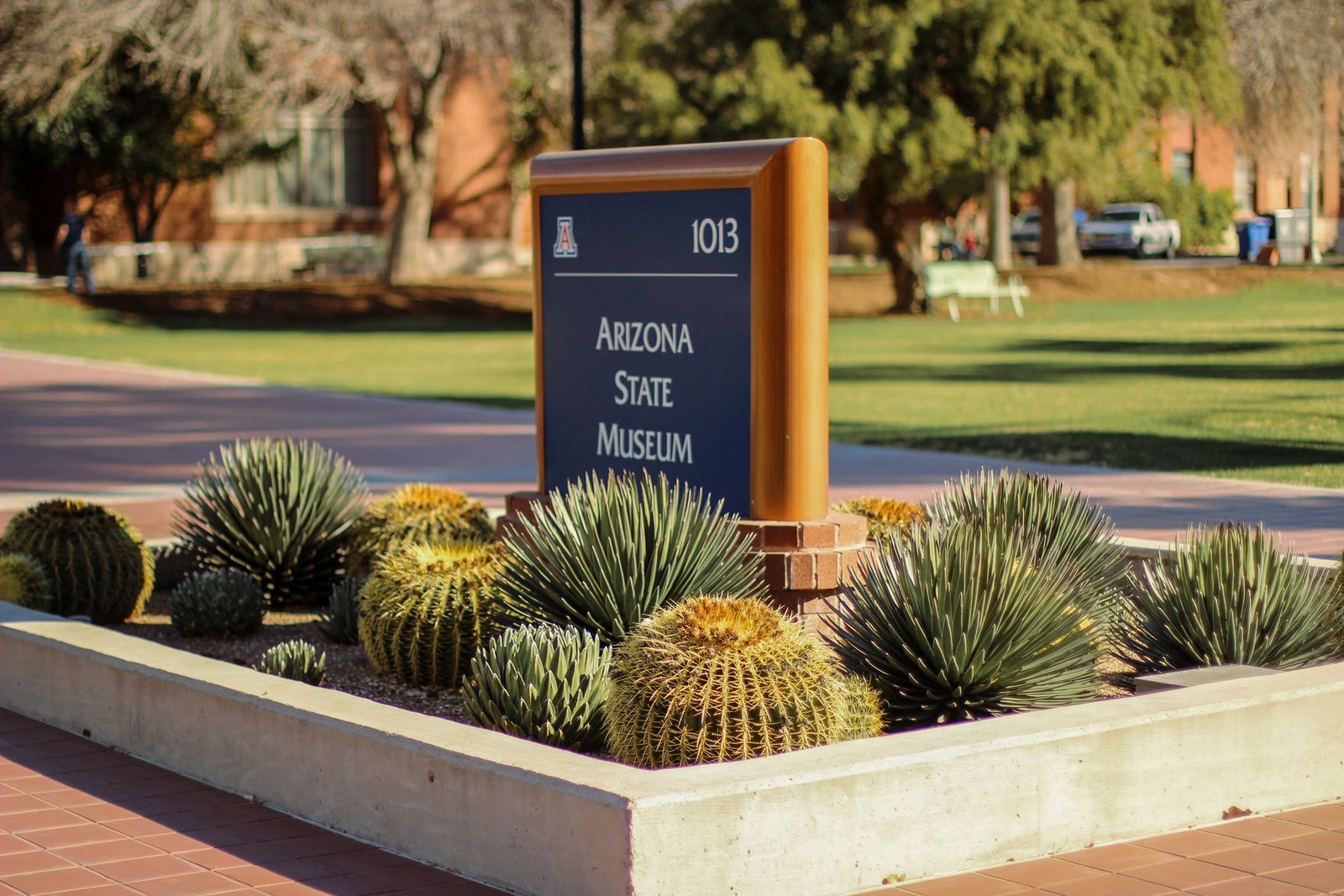 allegations of assault at arizona fraternity house prompt police investigation