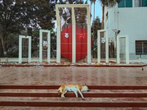 bangladesh takes a significant step with its first nuclear power plant