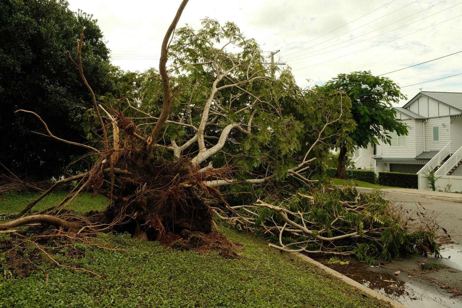 cyclonic storm arnab set to impact andhra pradesh and odisha