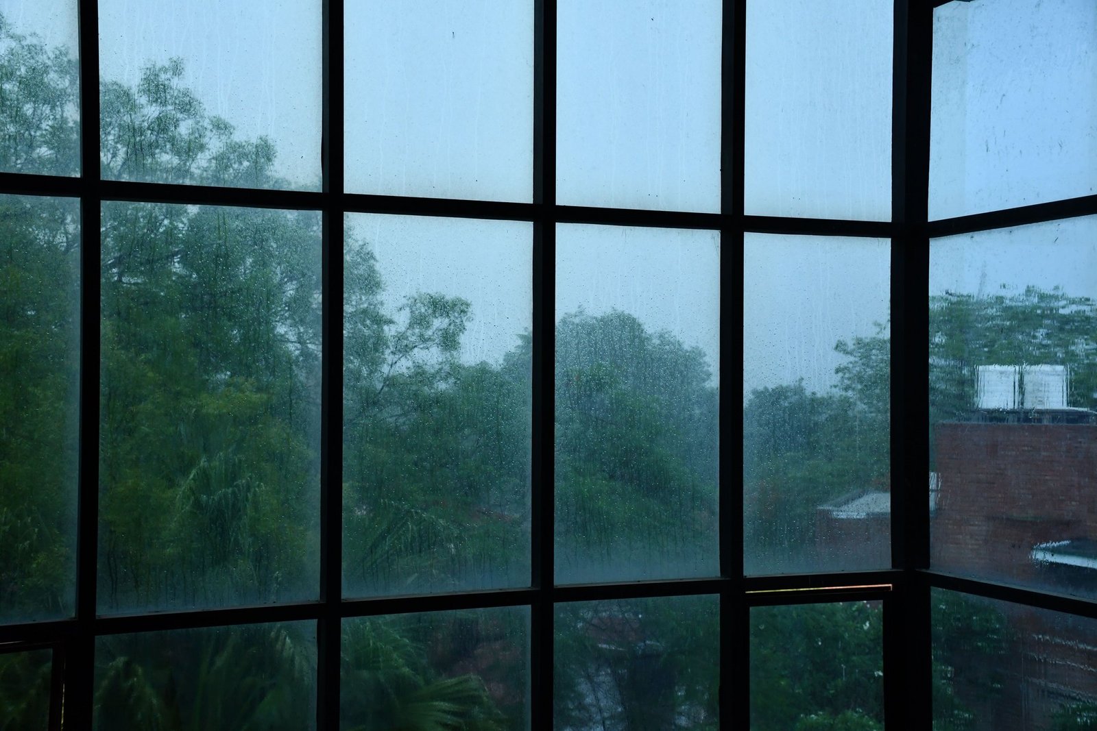 delhi experiences unprecedented october rainfall marking a four year high