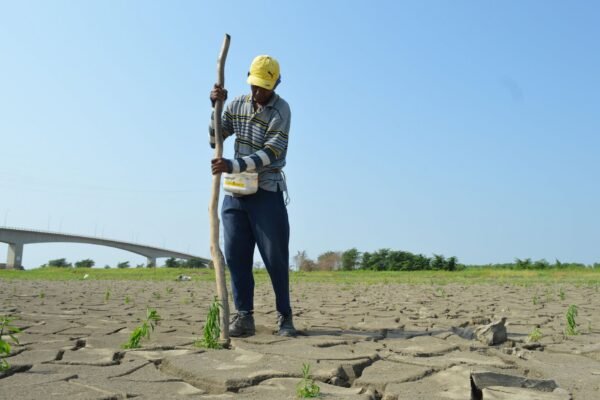 impact of el nino on indias agricultural sector what to expect