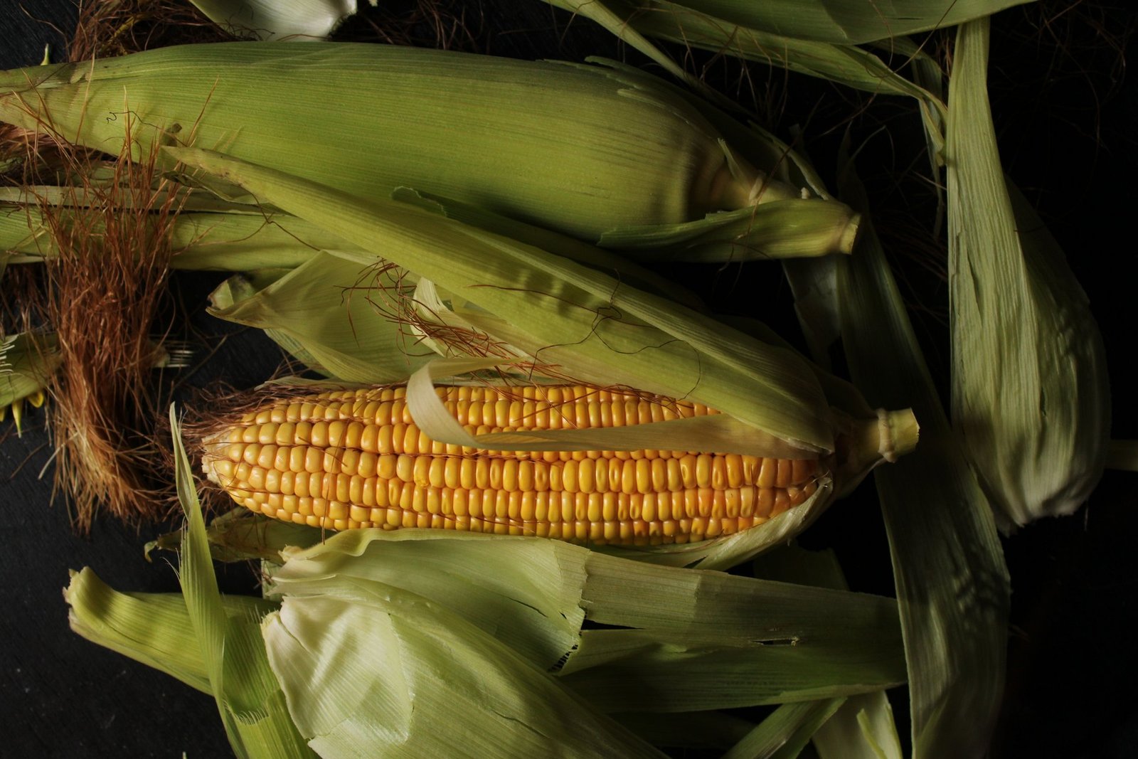 india excludes sugar based ethanol from future petrol blending tenders