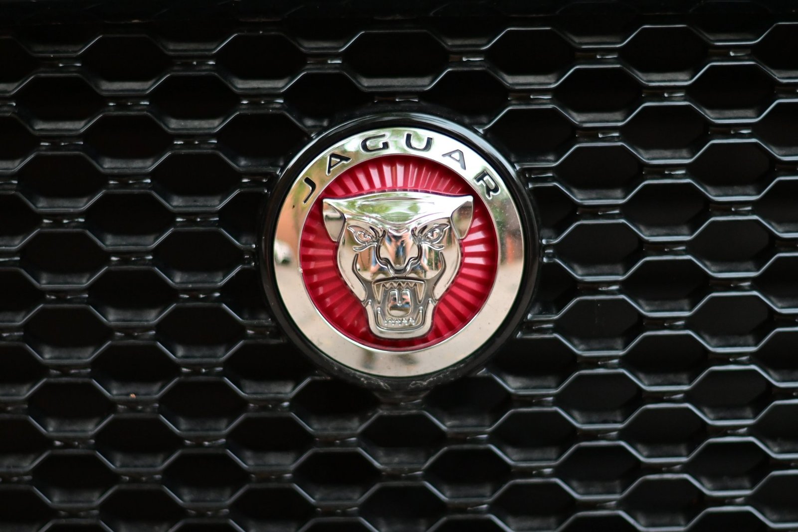 jaguar unveils the bold and modern type 01