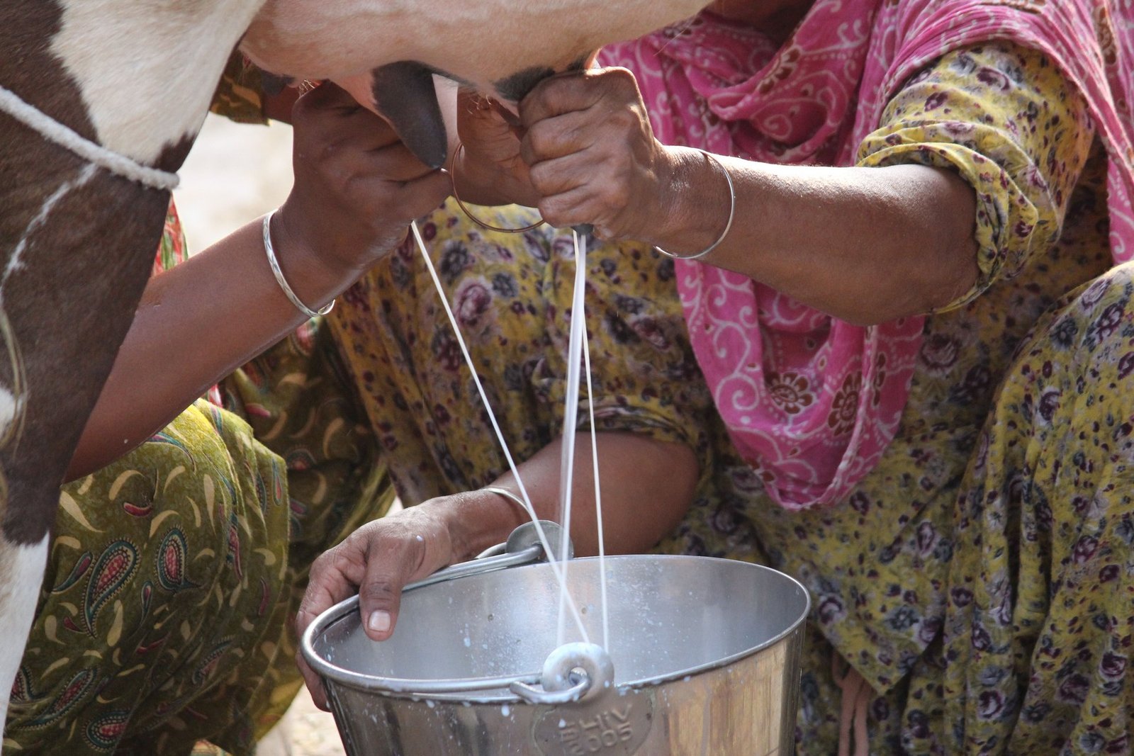 karnatakas chief minister defends milk price increase to support local farmers