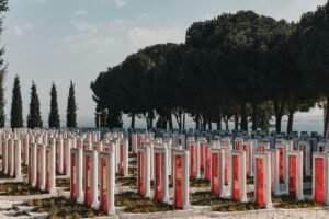 the enduring legacy of peace bonds from historical roots to modern applications
