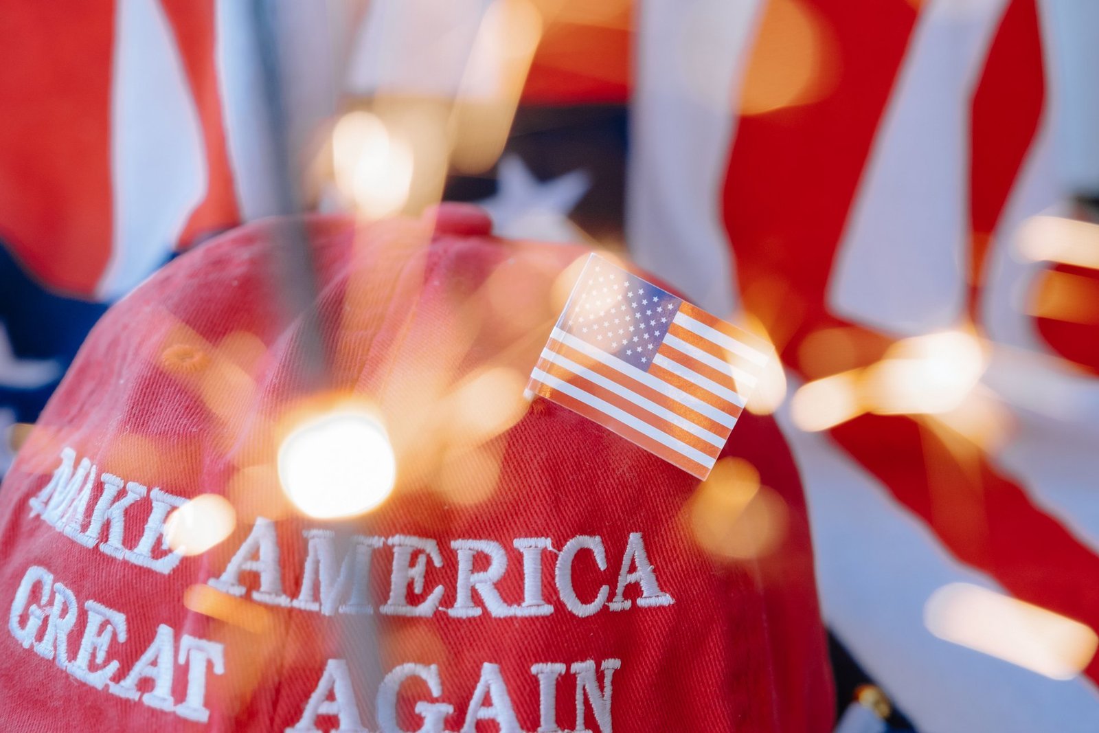 trumps rebranding of ai sparks surge in slovenian domain registrations